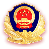 云南省公安厅刑事侦查总队